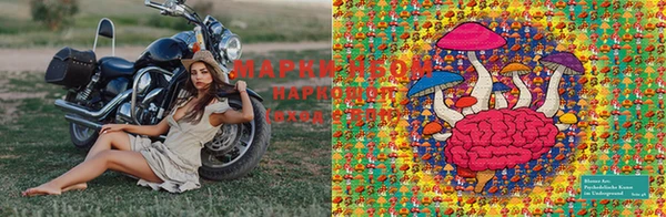 прущие грибы Алзамай