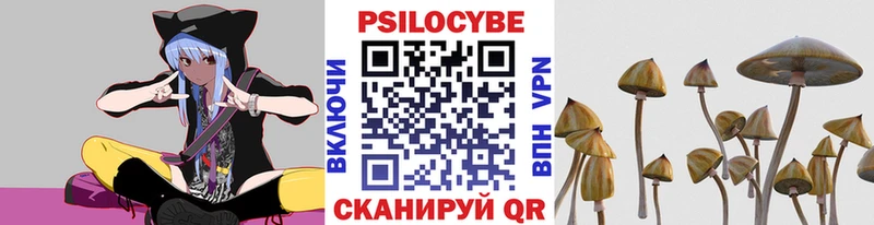 где продают наркотики  Нижний Тагил  Псилоцибиновые грибы прущие грибы 